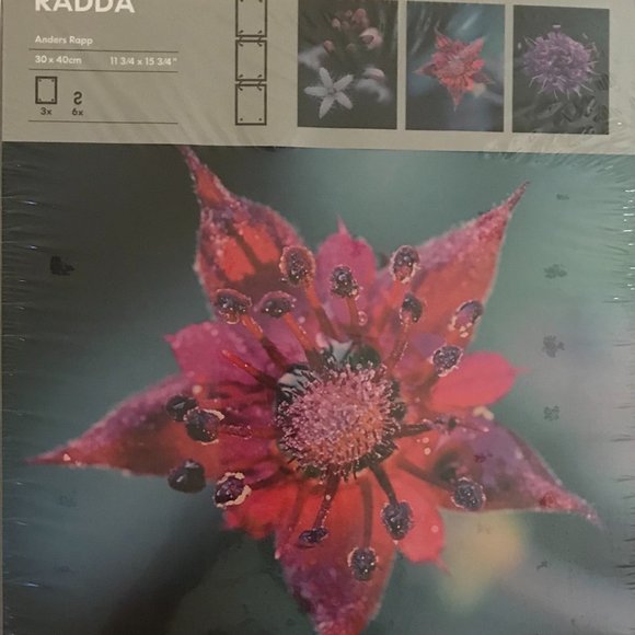 IKEA RADDA Hanging Floral Picture Trio - Picture 1 of 8